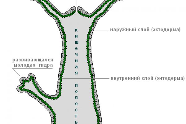Кракен ссылка в тор
