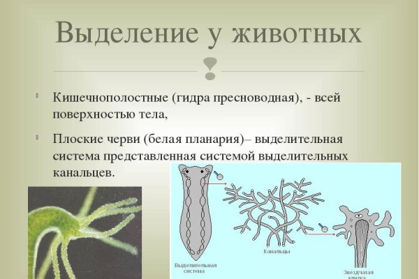 Как найти кракен шоп